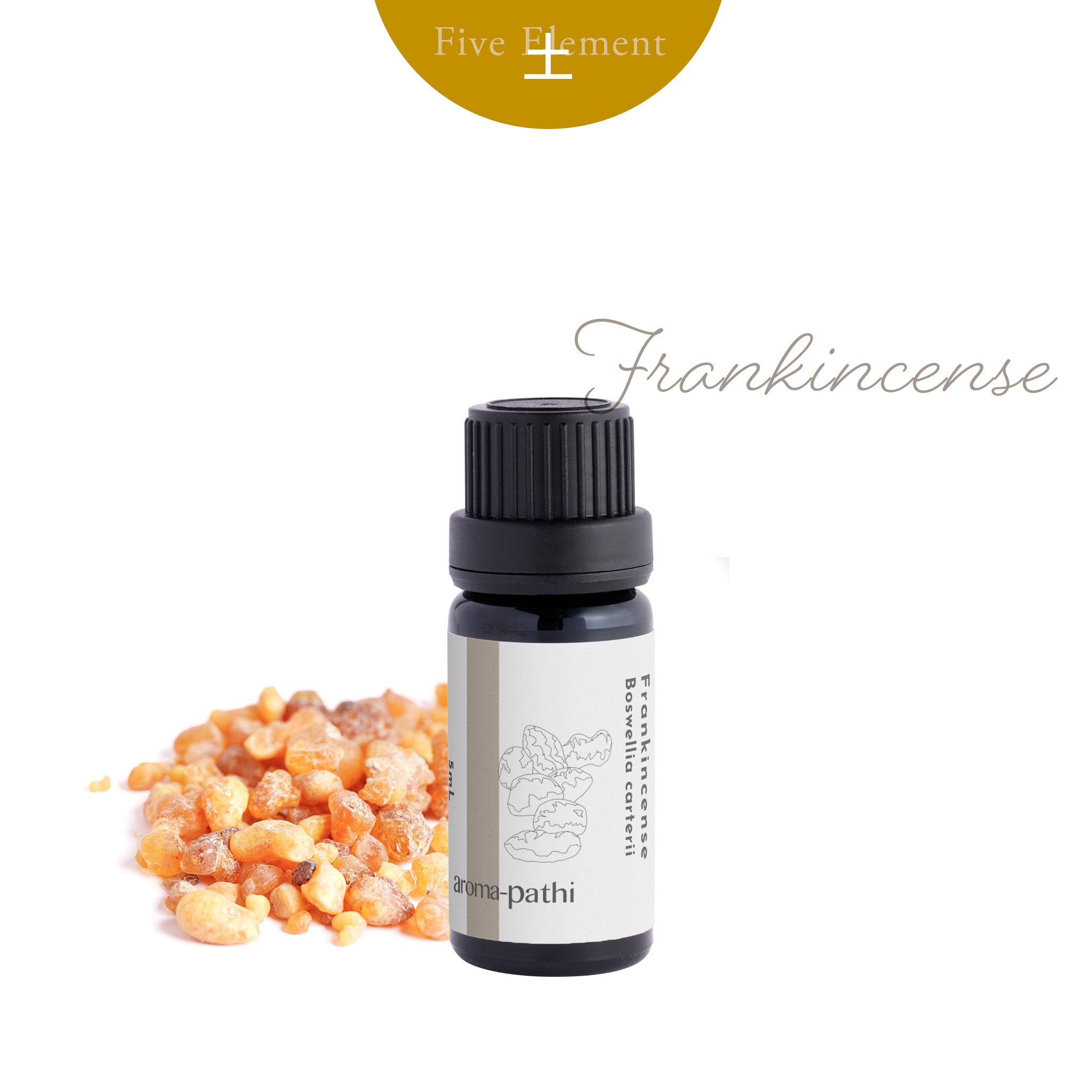 フランキンセンスオイル フランキンセンス精油/Frankincense – 生活の木 オンラインストア